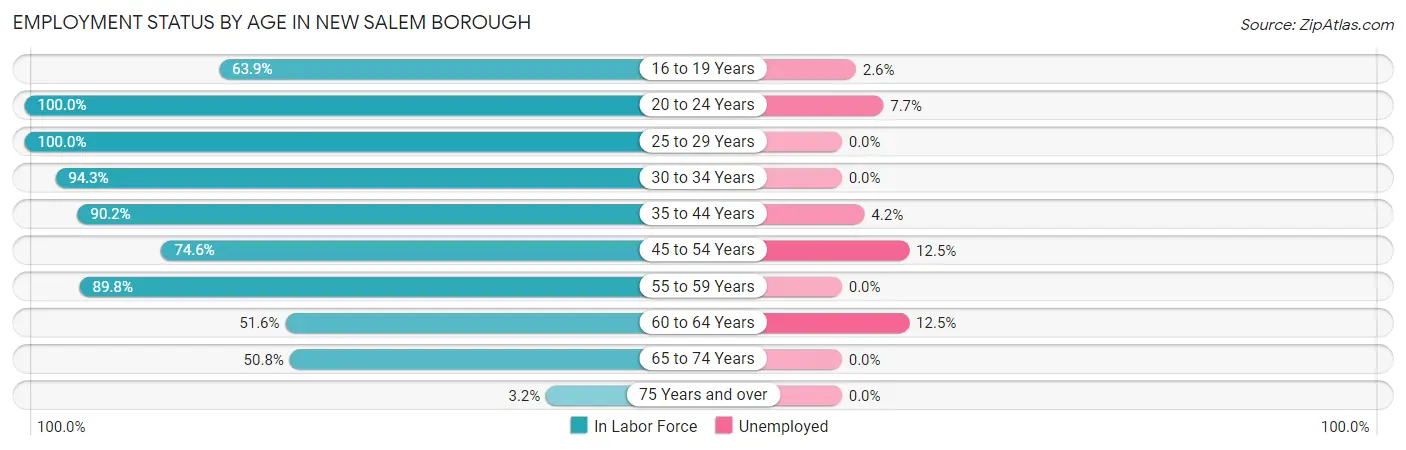 Employment Status by Age in New Salem borough