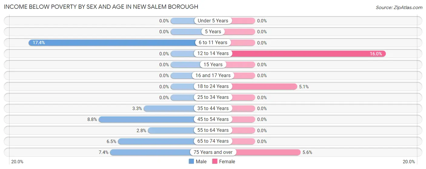 Income Below Poverty by Sex and Age in New Salem borough