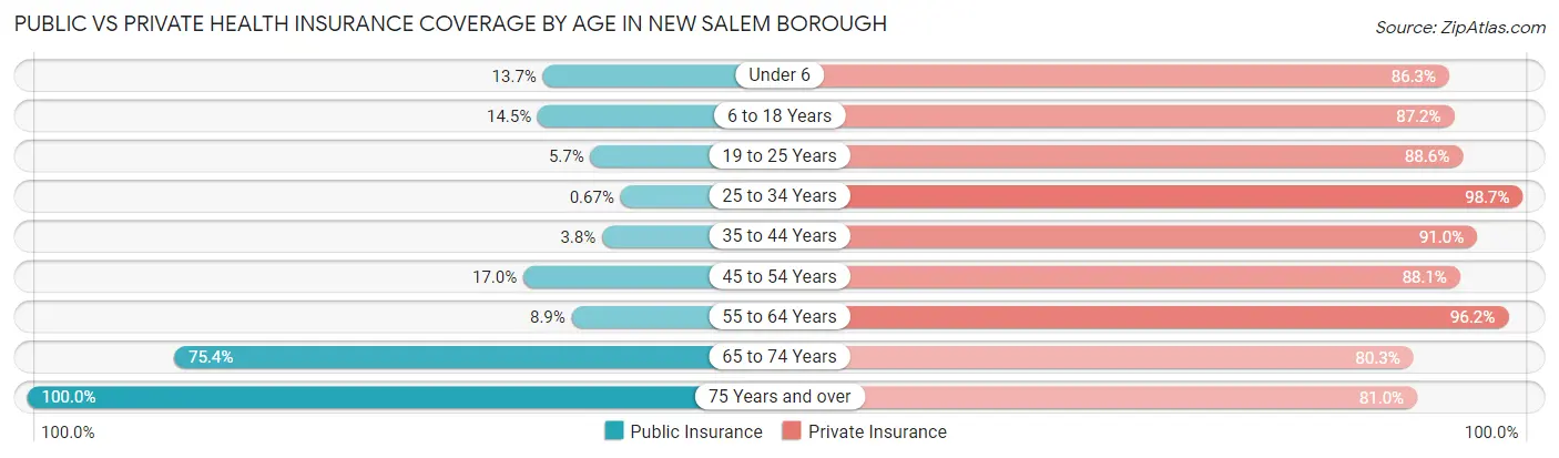 Public vs Private Health Insurance Coverage by Age in New Salem borough