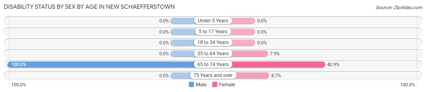 Disability Status by Sex by Age in New Schaefferstown