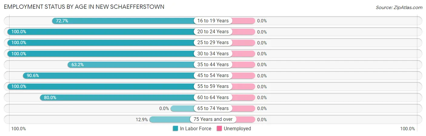 Employment Status by Age in New Schaefferstown