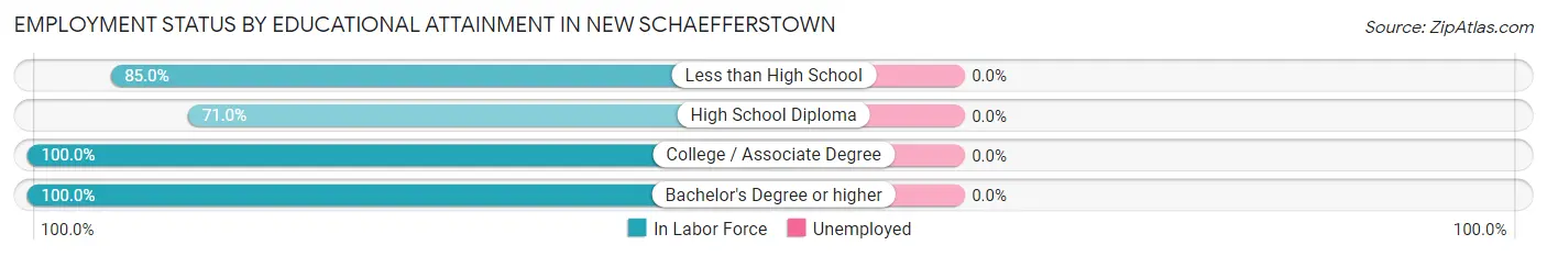 Employment Status by Educational Attainment in New Schaefferstown