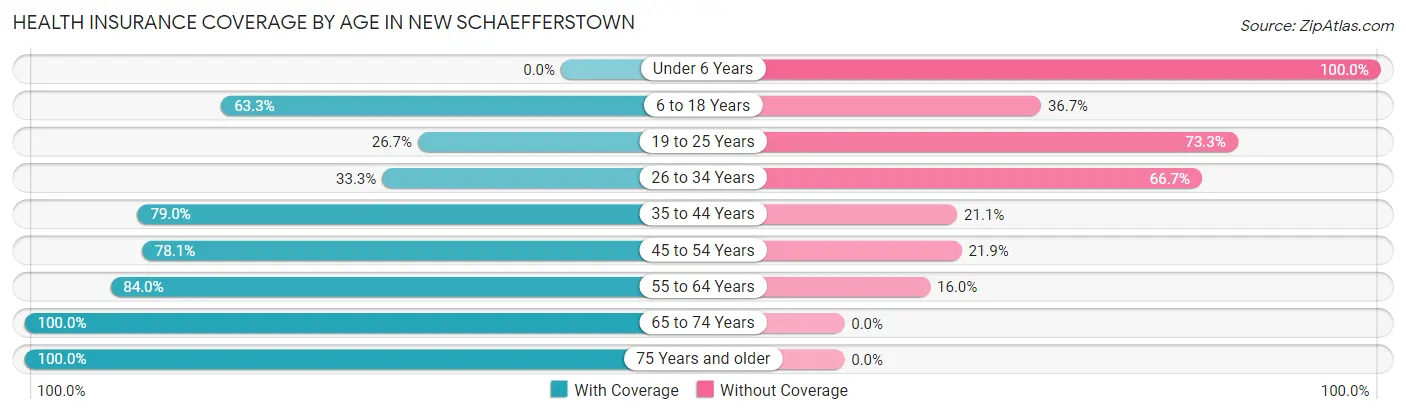 Health Insurance Coverage by Age in New Schaefferstown