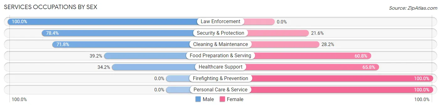 Services Occupations by Sex in New Stanton borough