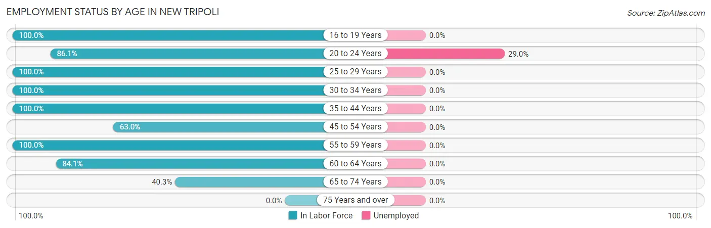 Employment Status by Age in New Tripoli