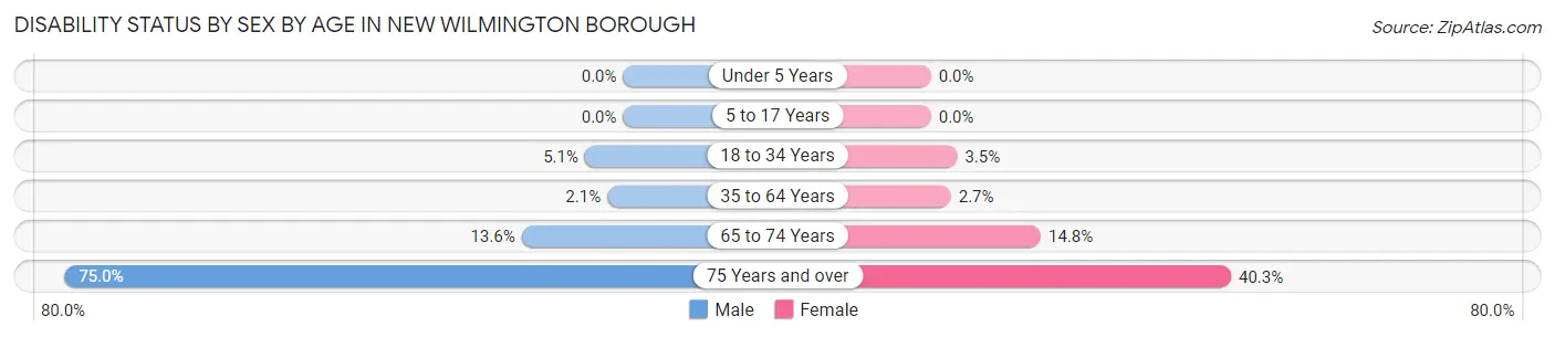 Disability Status by Sex by Age in New Wilmington borough