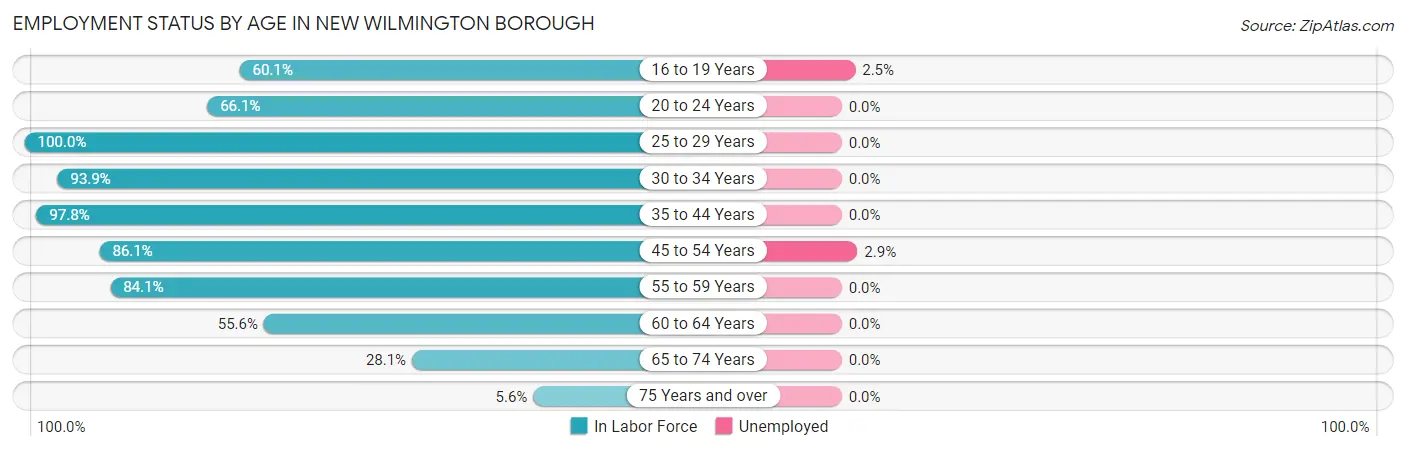 Employment Status by Age in New Wilmington borough