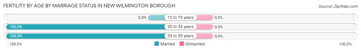 Female Fertility by Age by Marriage Status in New Wilmington borough