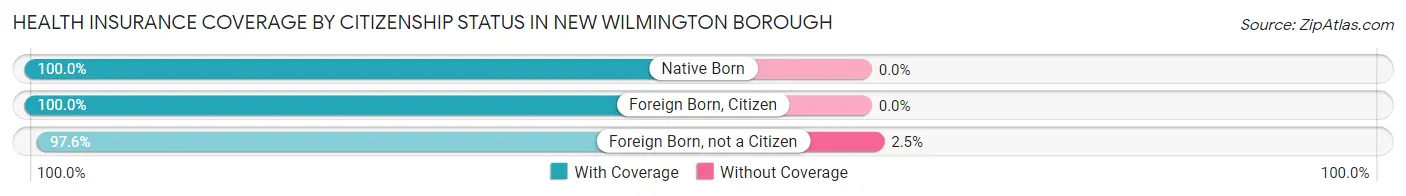 Health Insurance Coverage by Citizenship Status in New Wilmington borough