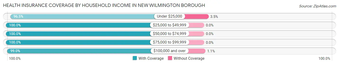 Health Insurance Coverage by Household Income in New Wilmington borough