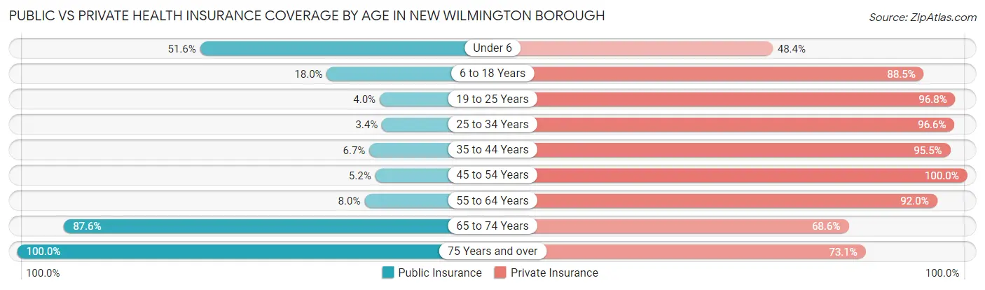 Public vs Private Health Insurance Coverage by Age in New Wilmington borough