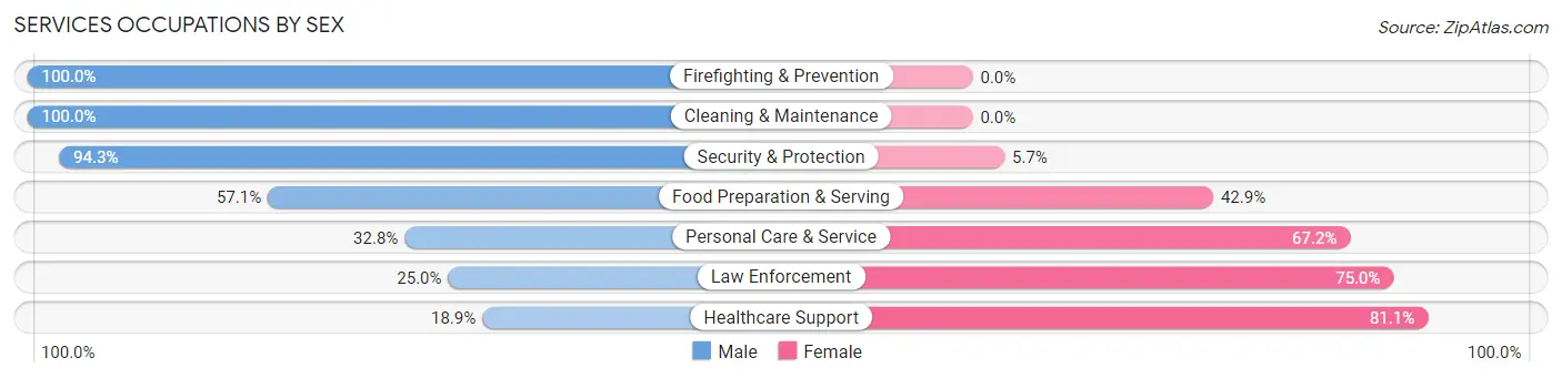 Services Occupations by Sex in New Wilmington borough