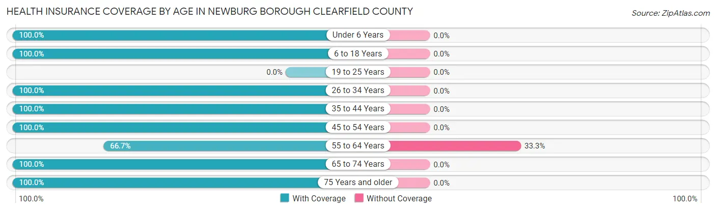 Health Insurance Coverage by Age in Newburg borough Clearfield County