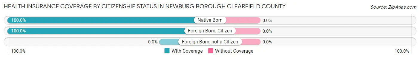 Health Insurance Coverage by Citizenship Status in Newburg borough Clearfield County