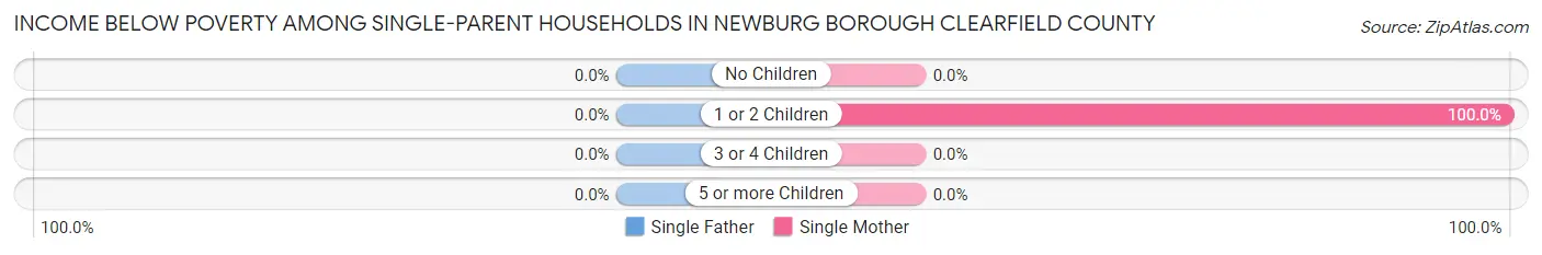 Income Below Poverty Among Single-Parent Households in Newburg borough Clearfield County