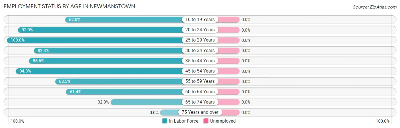 Employment Status by Age in Newmanstown
