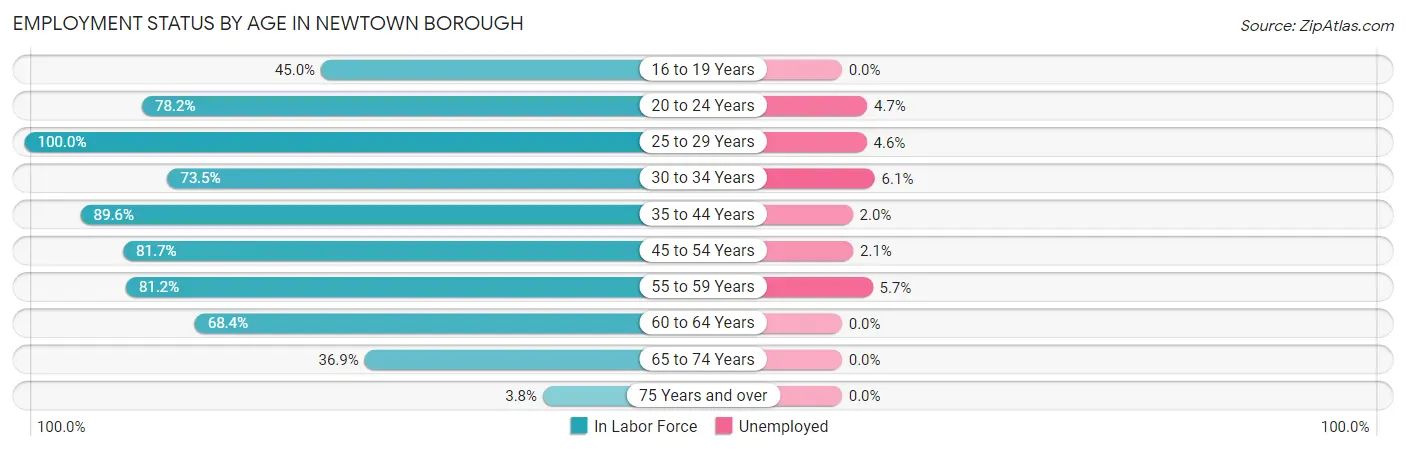 Employment Status by Age in Newtown borough