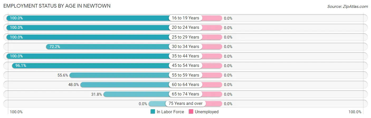 Employment Status by Age in Newtown