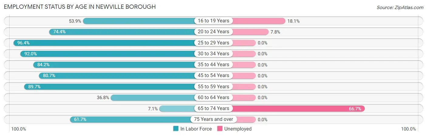 Employment Status by Age in Newville borough