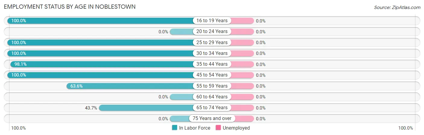 Employment Status by Age in Noblestown