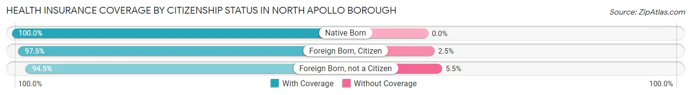 Health Insurance Coverage by Citizenship Status in North Apollo borough