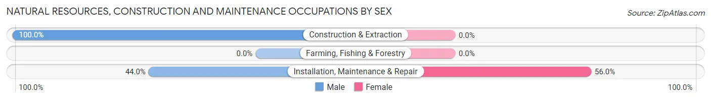 Natural Resources, Construction and Maintenance Occupations by Sex in North Belle Vernon borough