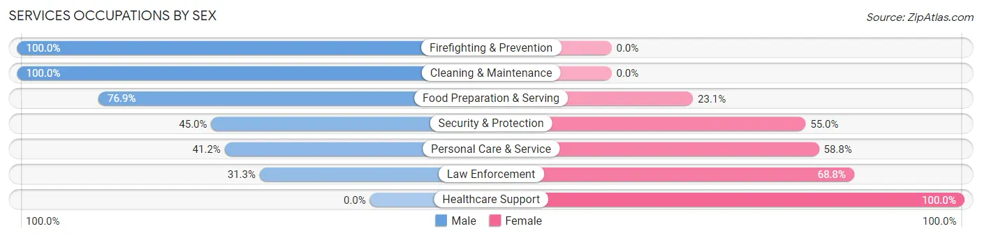 Services Occupations by Sex in North Catasauqua borough