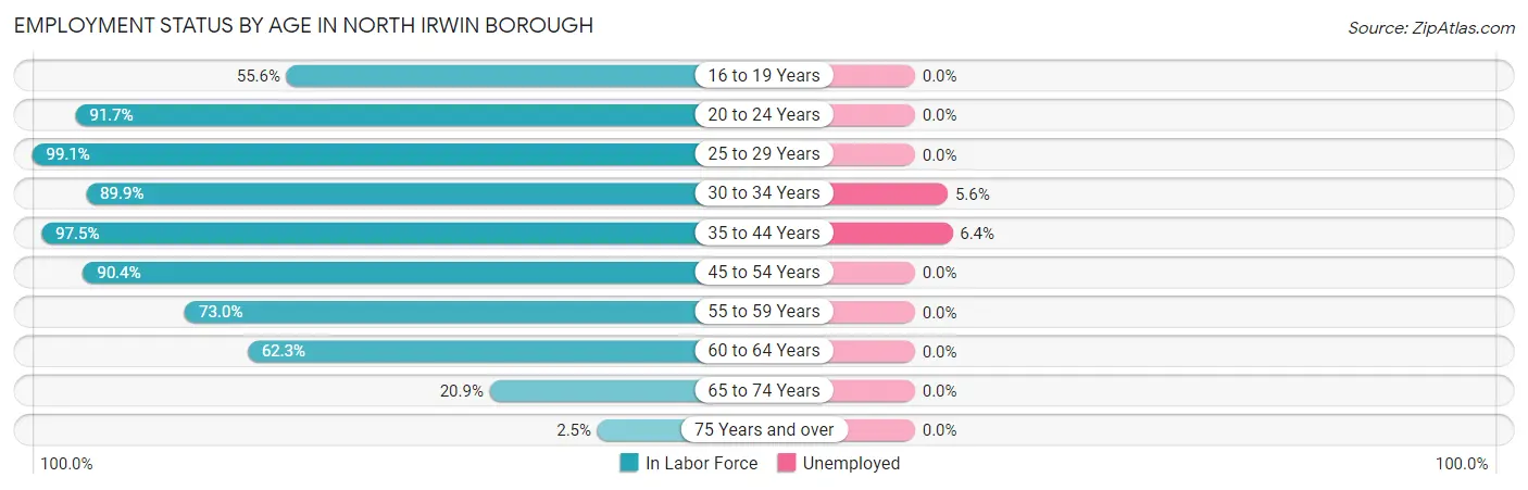 Employment Status by Age in North Irwin borough