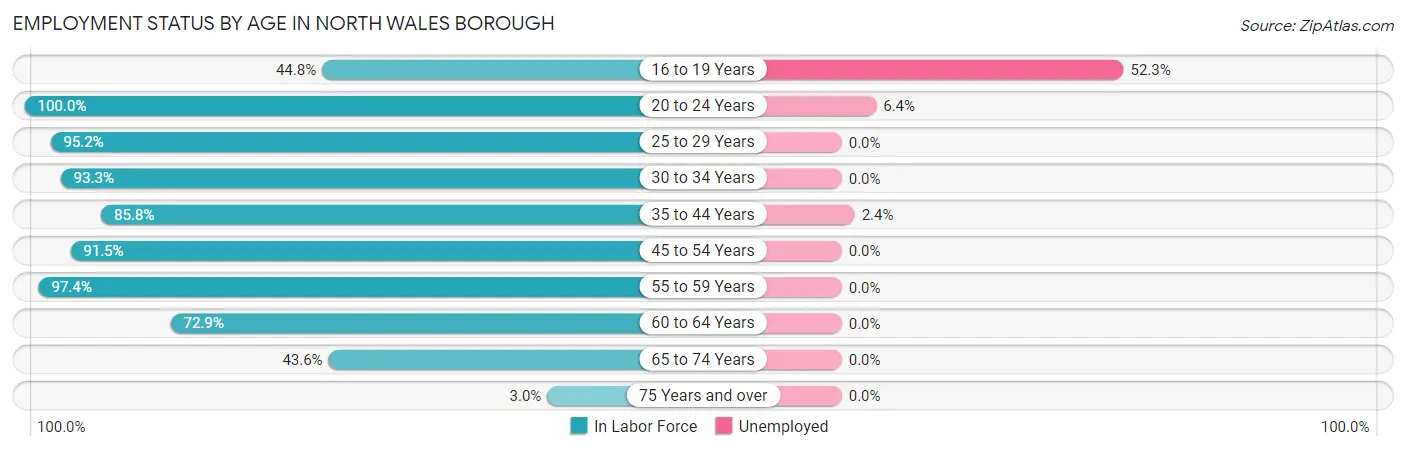 Employment Status by Age in North Wales borough