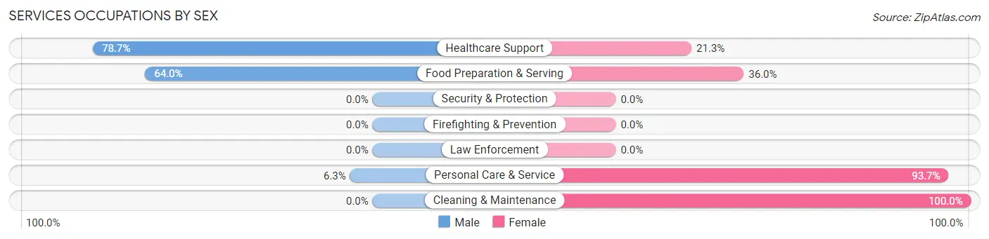 Services Occupations by Sex in North Wales borough