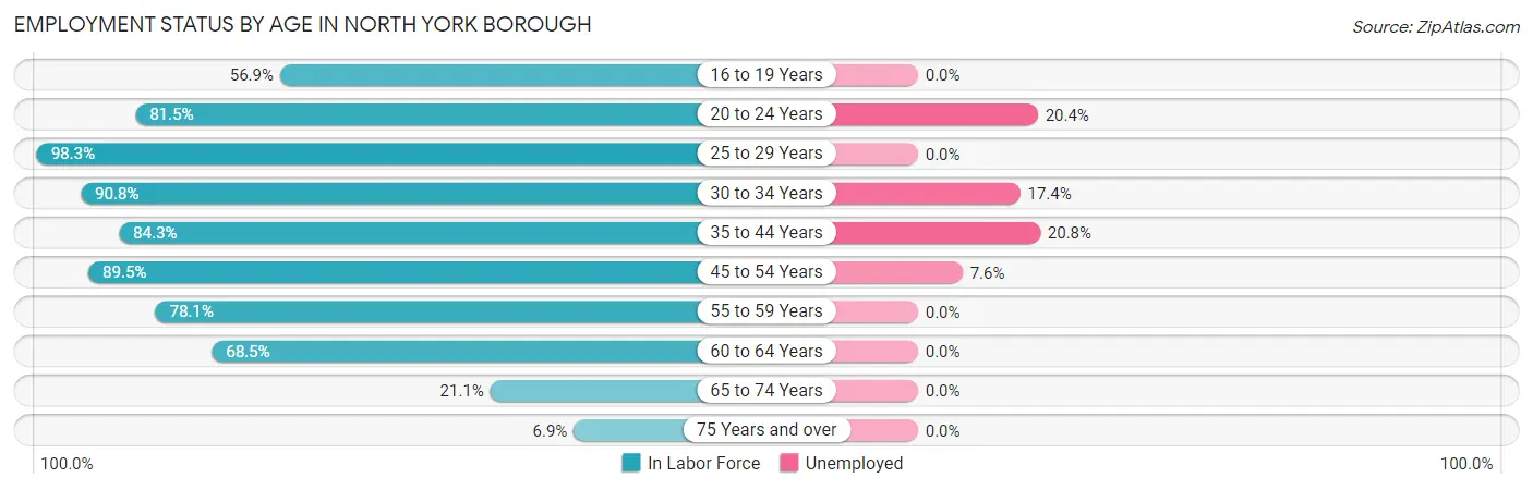 Employment Status by Age in North York borough