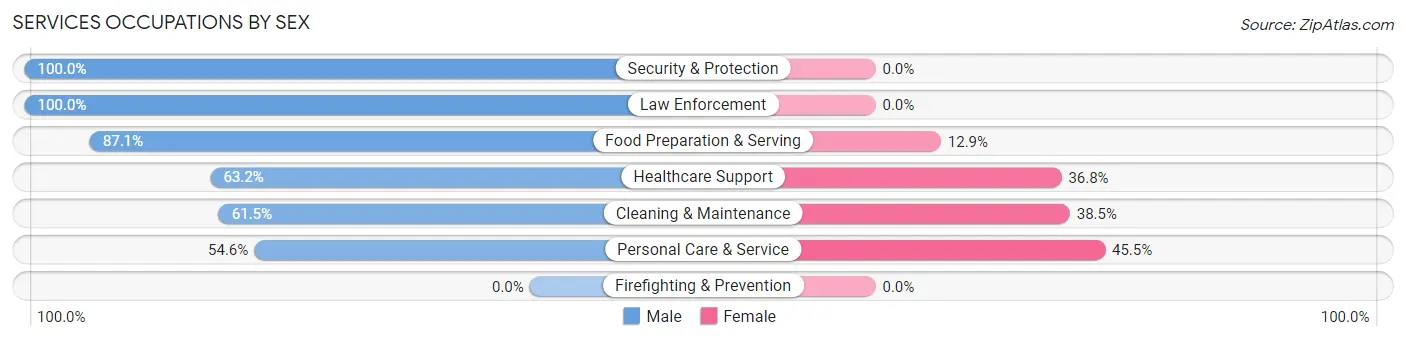 Services Occupations by Sex in Northern Cambria borough