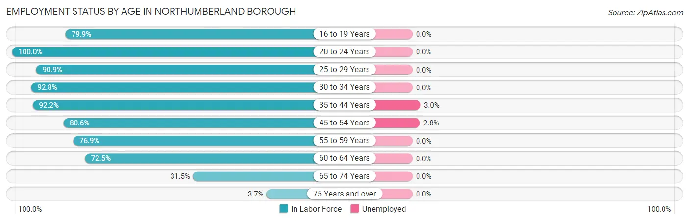 Employment Status by Age in Northumberland borough