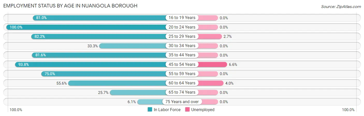 Employment Status by Age in Nuangola borough