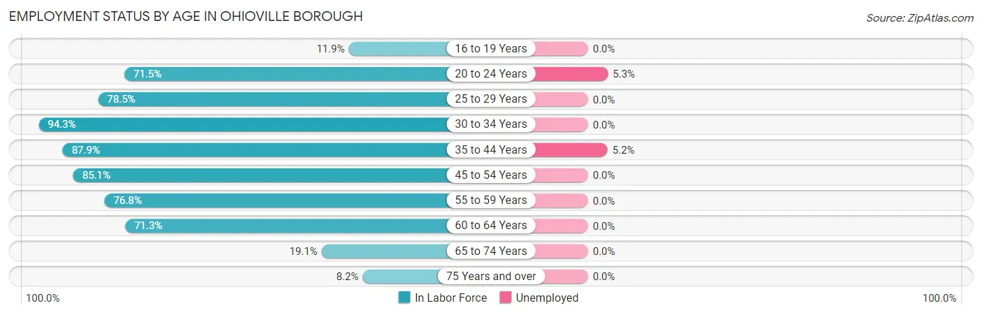 Employment Status by Age in Ohioville borough
