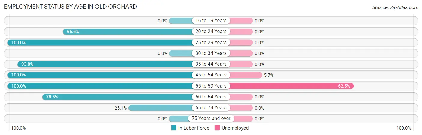 Employment Status by Age in Old Orchard