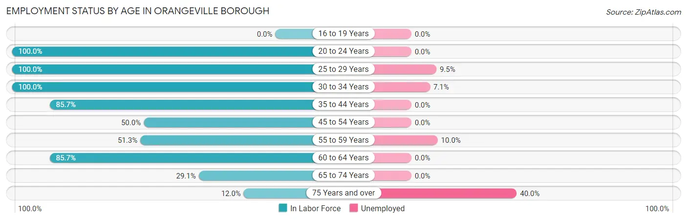 Employment Status by Age in Orangeville borough