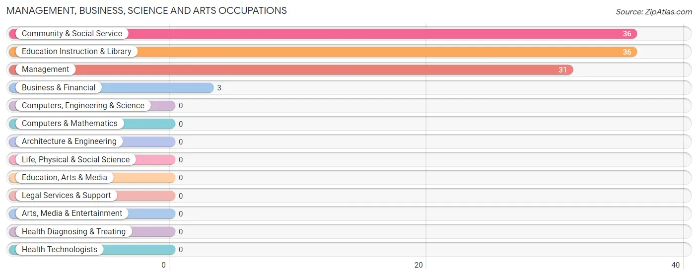 Management, Business, Science and Arts Occupations in Orbisonia borough