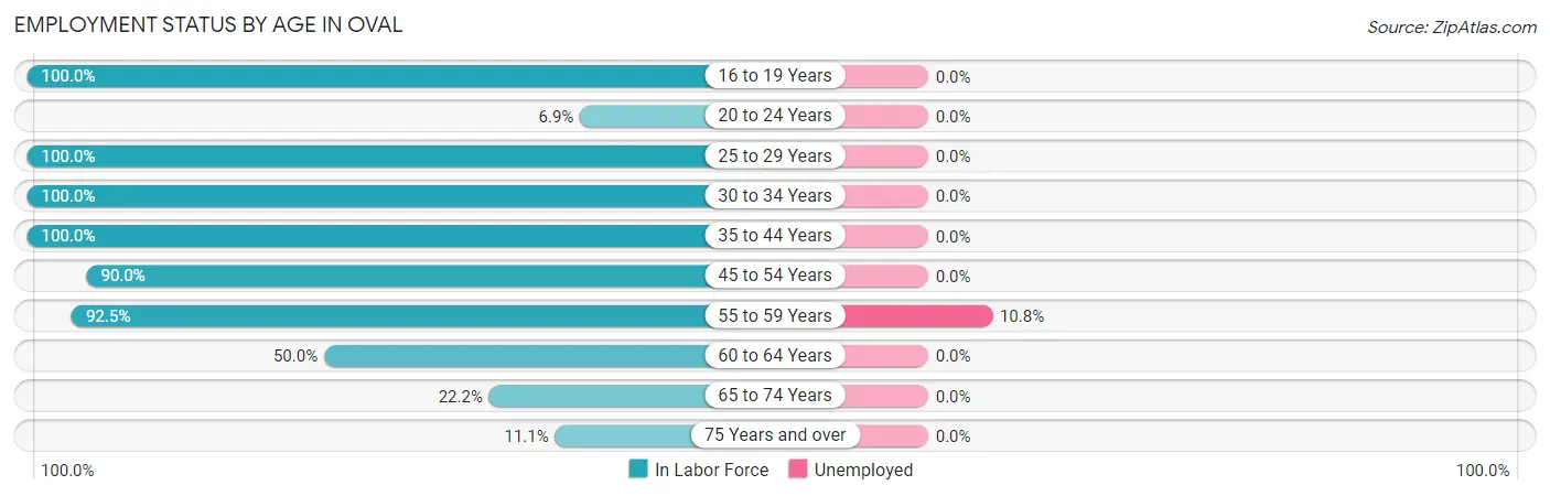 Employment Status by Age in Oval