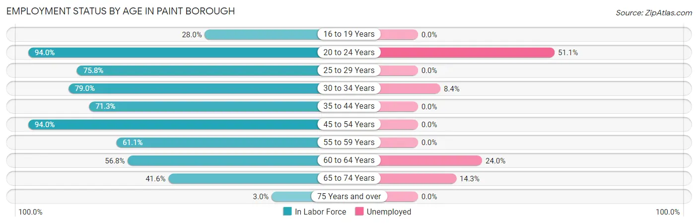 Employment Status by Age in Paint borough