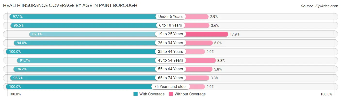 Health Insurance Coverage by Age in Paint borough