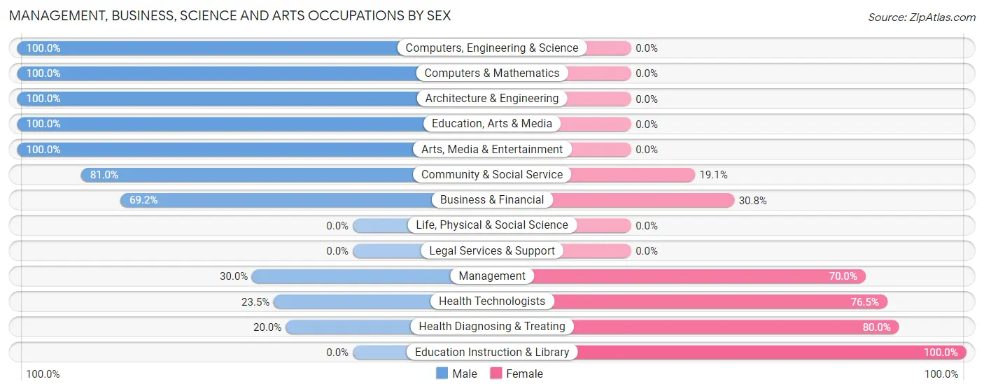 Management, Business, Science and Arts Occupations by Sex in Paint borough
