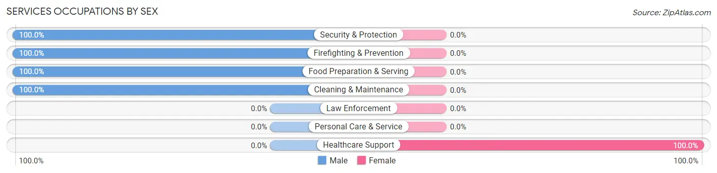 Services Occupations by Sex in Paint borough