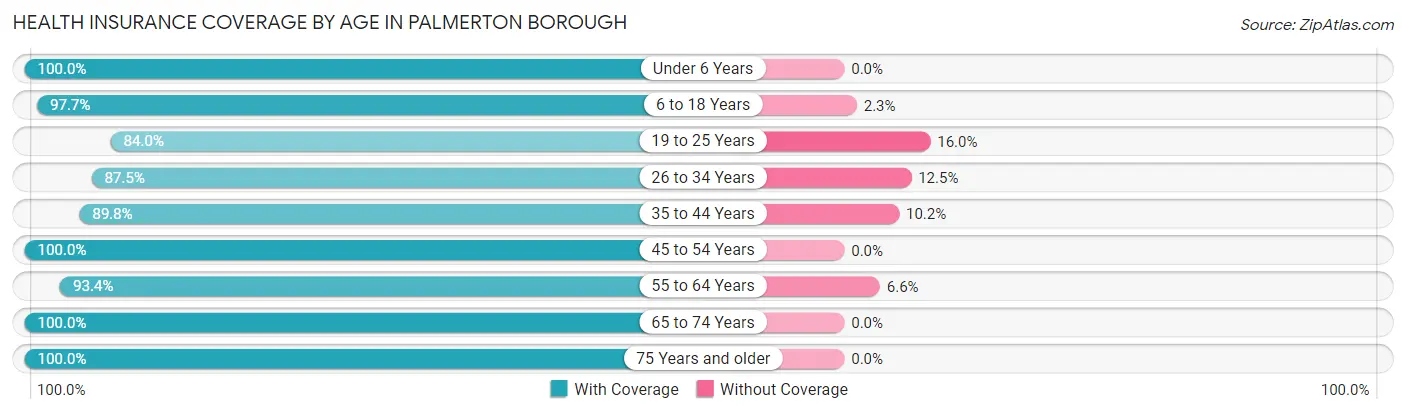 Health Insurance Coverage by Age in Palmerton borough