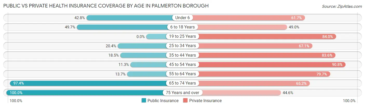Public vs Private Health Insurance Coverage by Age in Palmerton borough