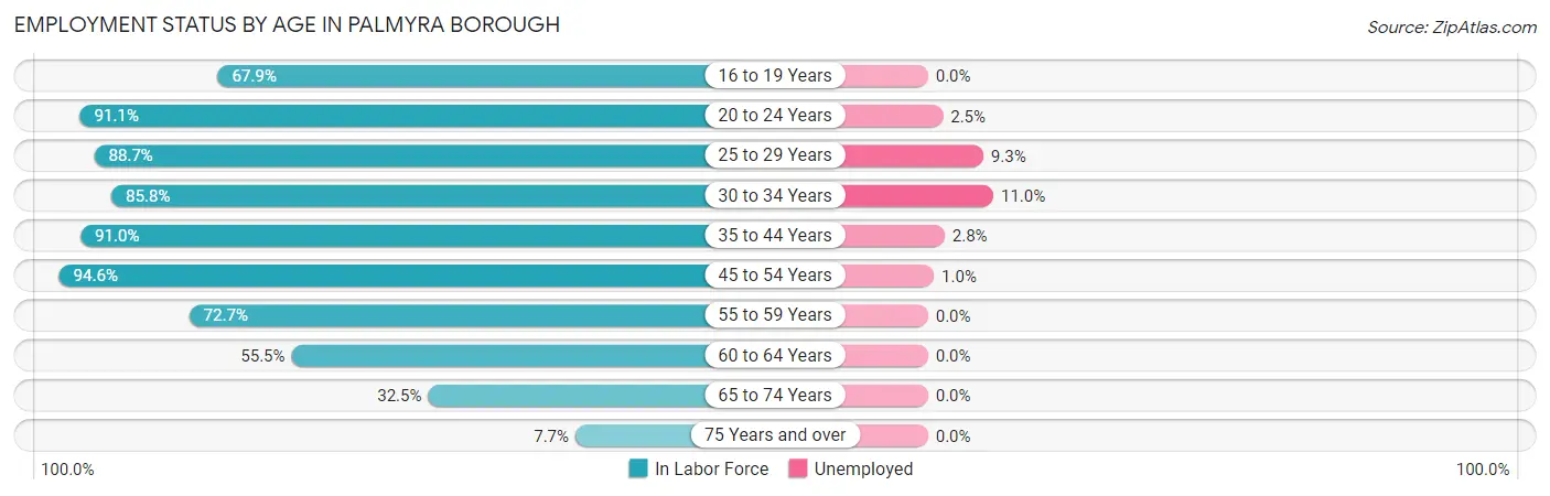 Employment Status by Age in Palmyra borough