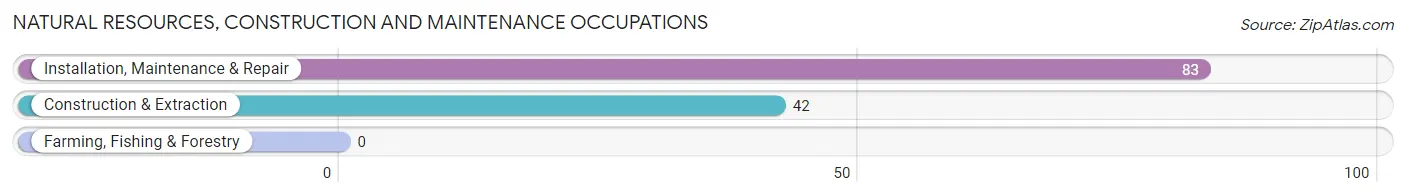 Natural Resources, Construction and Maintenance Occupations in Parkside borough