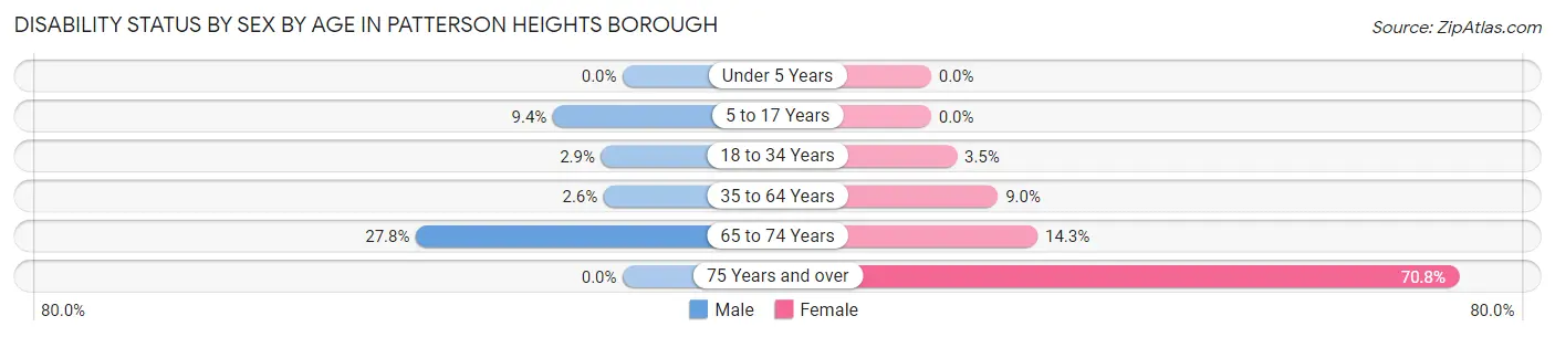 Disability Status by Sex by Age in Patterson Heights borough