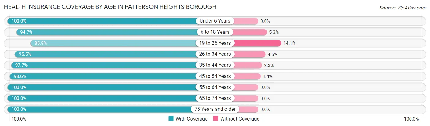 Health Insurance Coverage by Age in Patterson Heights borough