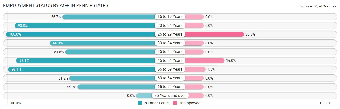 Employment Status by Age in Penn Estates